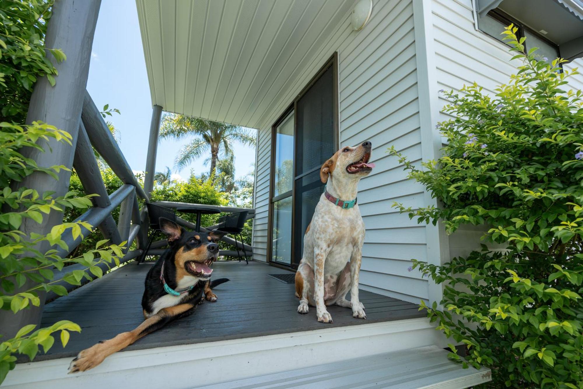 Tasman Holiday Parks - Hervey Bay Exterior foto